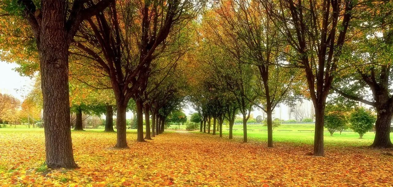 Python远程文件管理系统安全性设计与实践