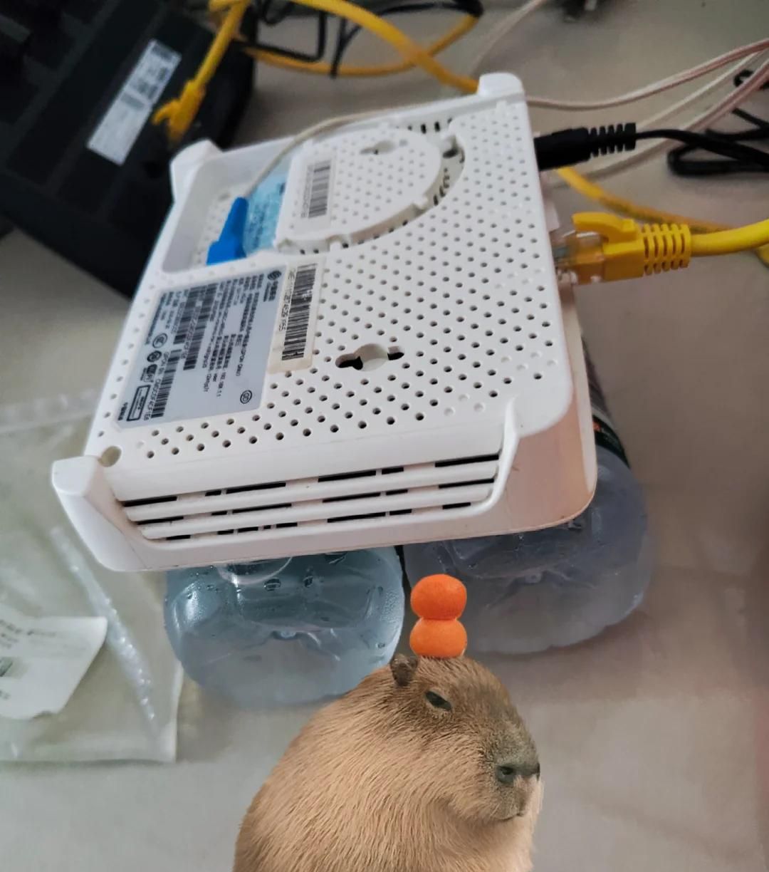 装网师傅不会告知你，改光猫这2个选项，解除限速，网速立马翻倍