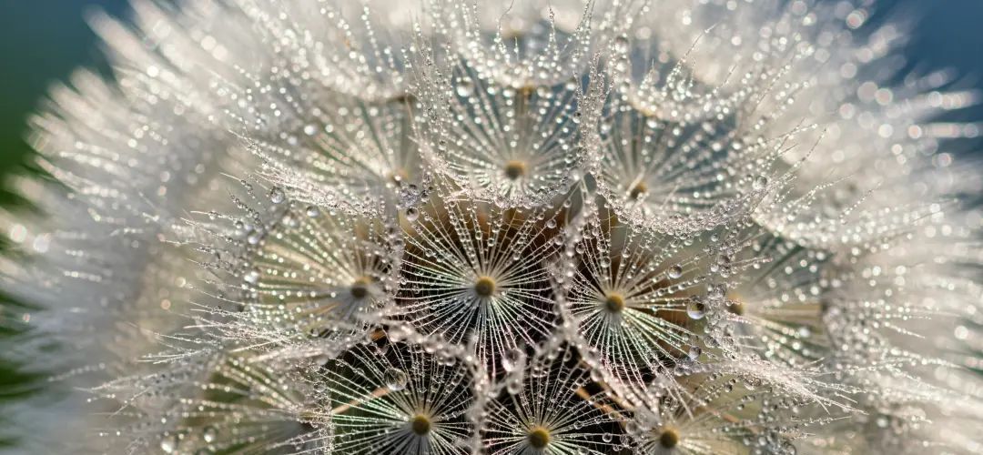 每月1800+元的AI全家桶、一句话就让AI拍大片！这一夜，谷歌Gemini贯穿始终，网友：果然Android“靠边站”了