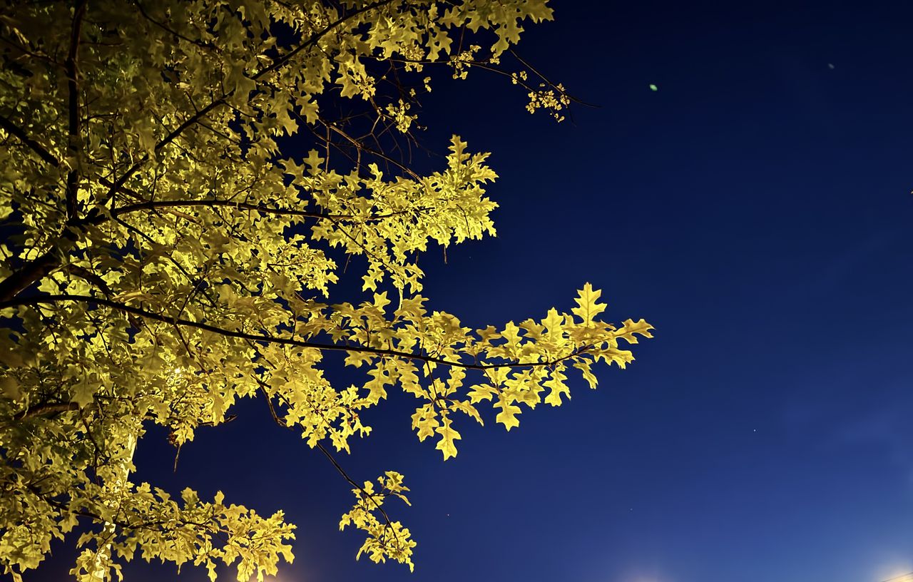 iPhone 16 Pro调色盘完全指南:让每一张照片都成为壁纸级作品