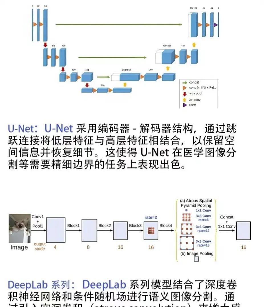 计算机视觉难?小白必备cv常用十大模型!