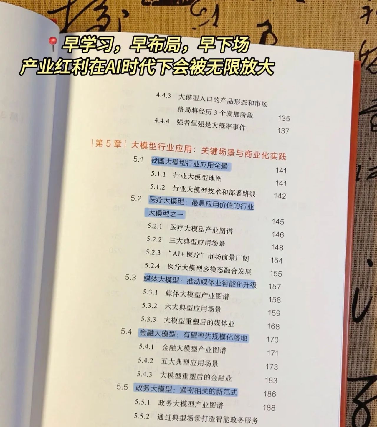 一本书看懂AI大模型！