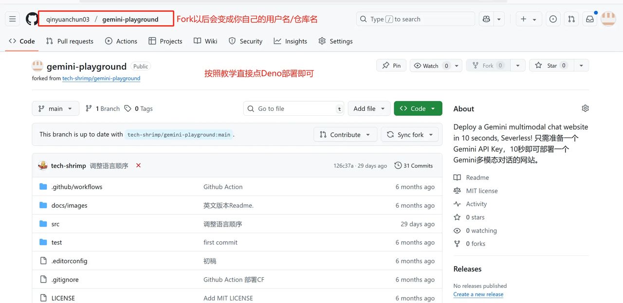 用十六张图教会你怎么中转Gemini