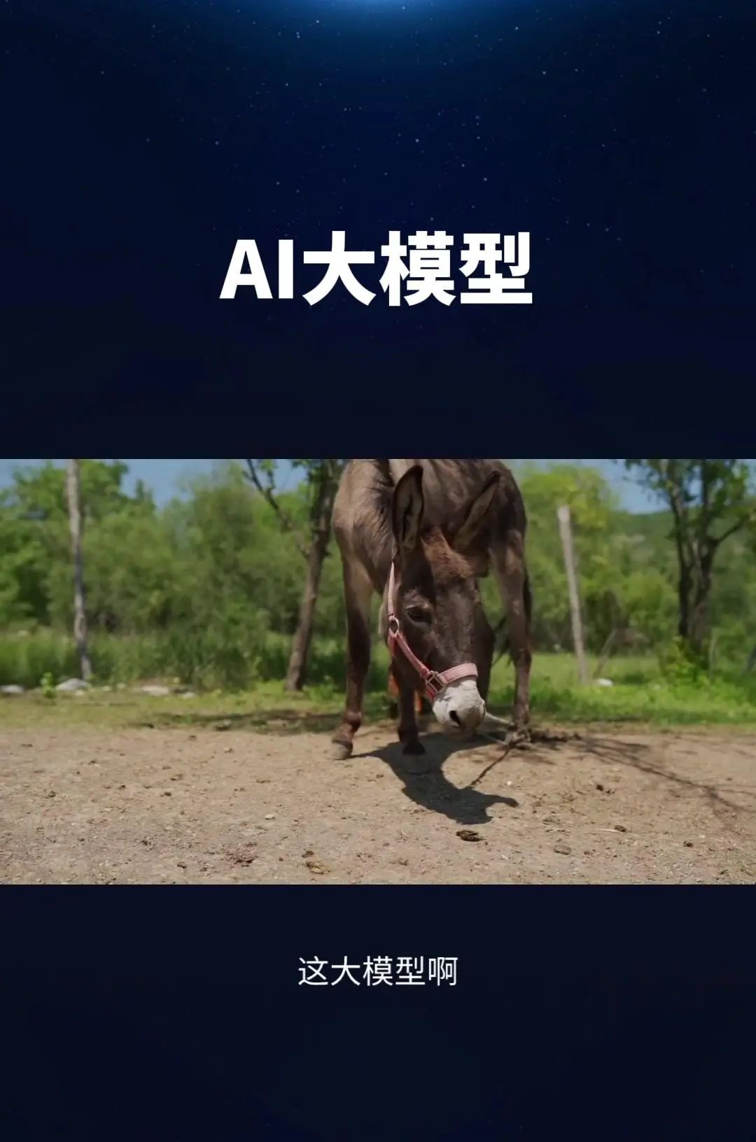 科技江湖之AI大模型