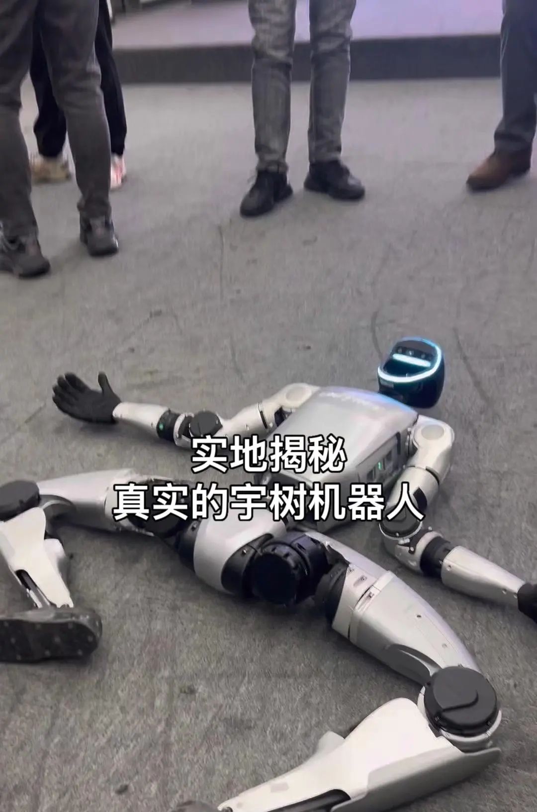 探秘全球四足机器人霸主