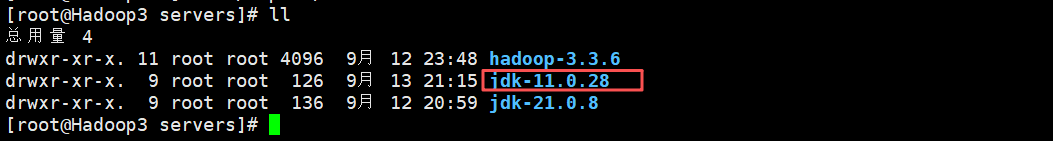 Hadoop3.3.6安装与集群配置到测试实战【端口映射】