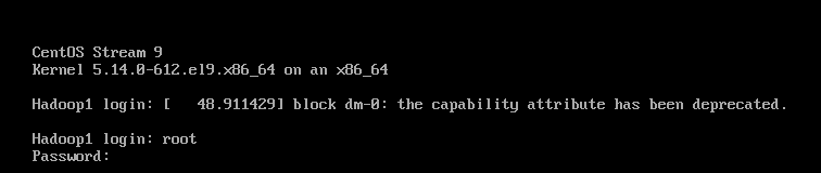 Hadoop3.3.6安装与集群配置到测试实战【端口映射】