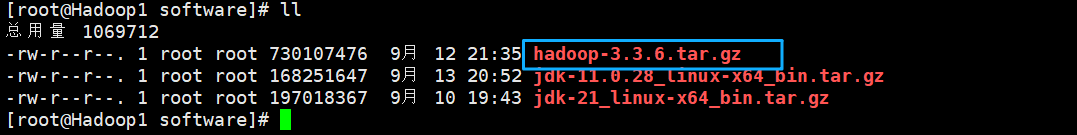 Hadoop3.3.6安装与集群配置到测试实战【端口映射】