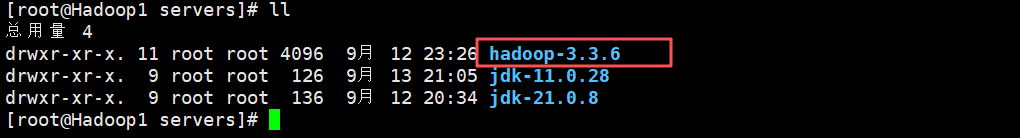 Hadoop3.3.6安装与集群配置到测试实战【端口映射】