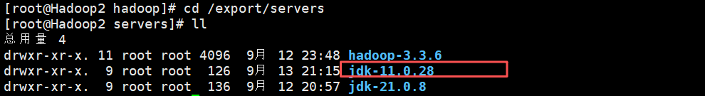 Hadoop3.3.6安装与集群配置到测试实战【端口映射】