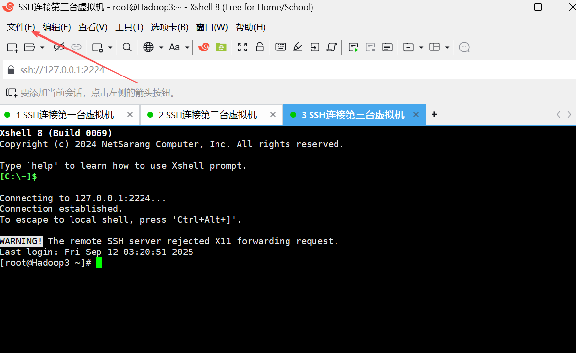 Hadoop3.3.6安装与集群配置到测试实战【端口映射】