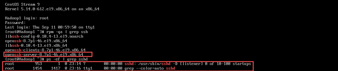 Hadoop3.3.6安装与集群配置到测试实战【端口映射】