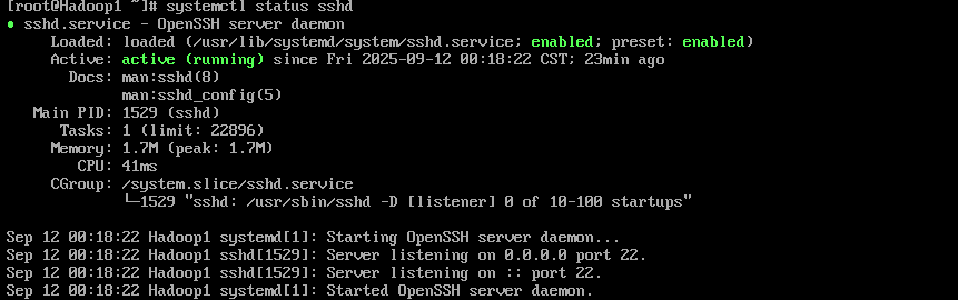 Hadoop3.3.6安装与集群配置到测试实战【端口映射】