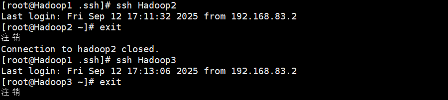 Hadoop3.3.6安装与集群配置到测试实战【端口映射】