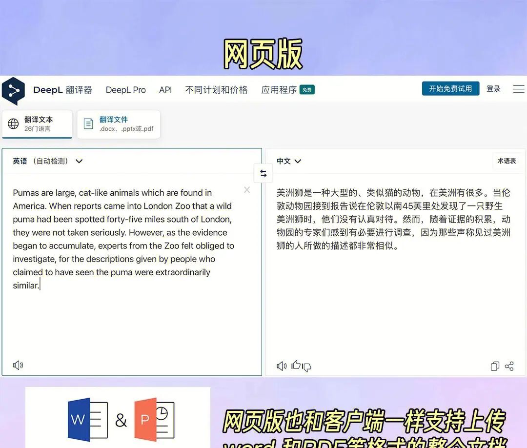 史上最YYDS的翻译软件