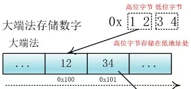 位(bit)、字节(byte)、字符、编码