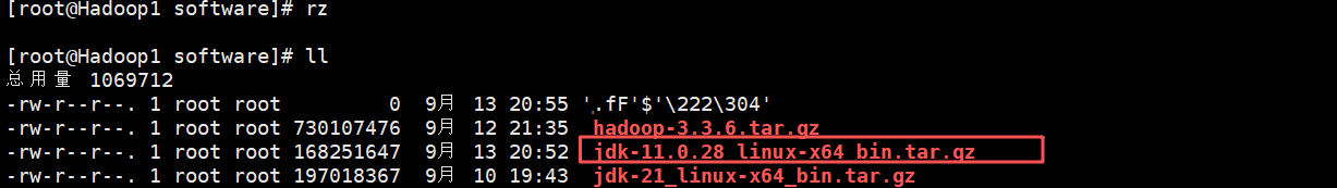 Hadoop3.3.6安装与集群配置到测试实战【端口映射】