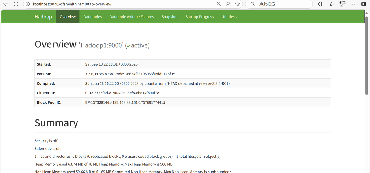 Hadoop3.3.6安装与集群配置到测试实战【端口映射】