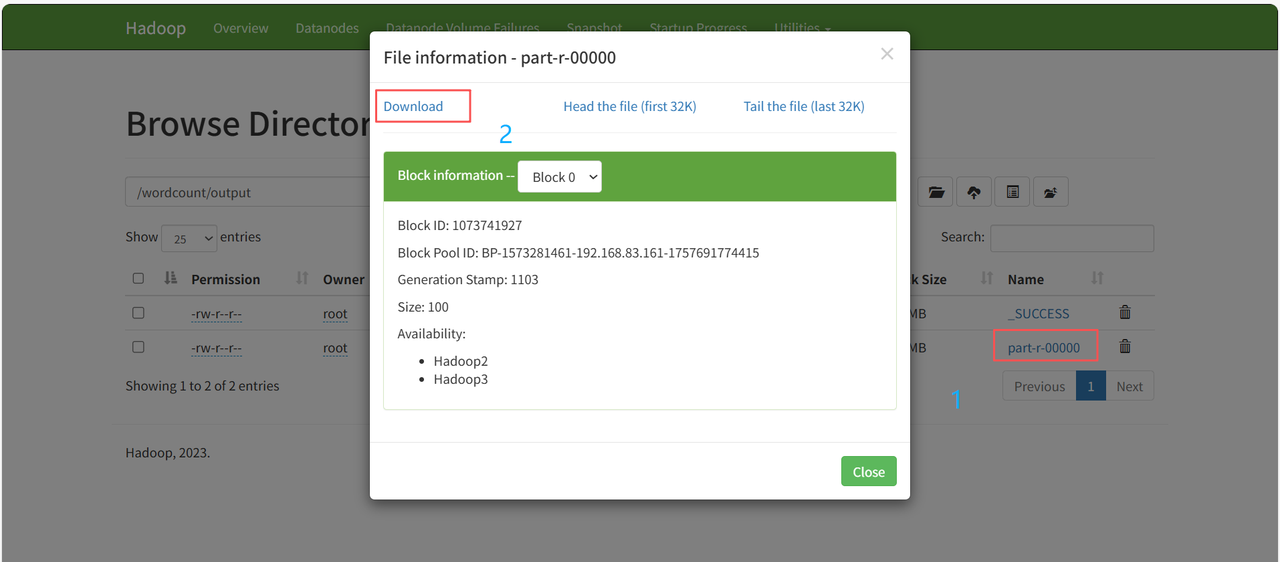 Hadoop3.3.6安装与集群配置到测试实战【端口映射】