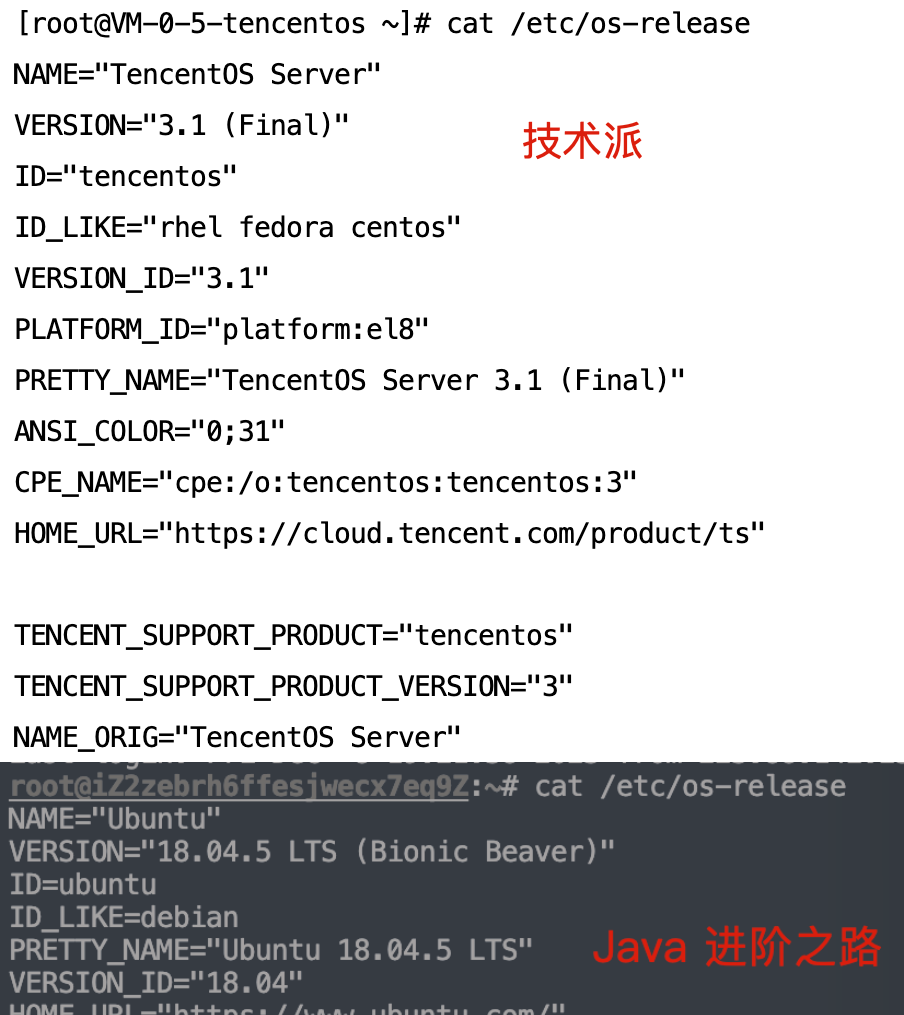 MySQL 的安装、启动、连接(Windows、macOS 和 Linux)