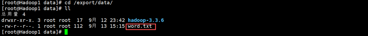 Hadoop3.3.6安装与集群配置到测试实战【端口映射】