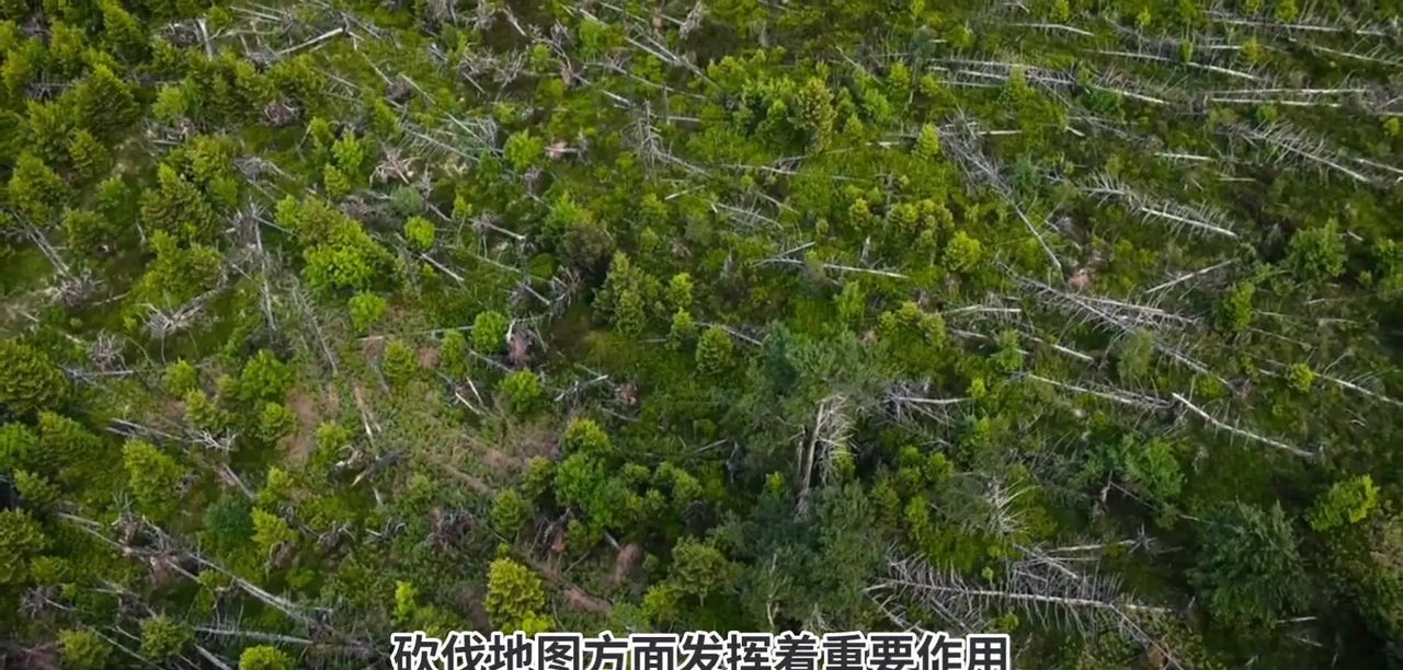 AI在气候变化预测中有哪些具体应用？