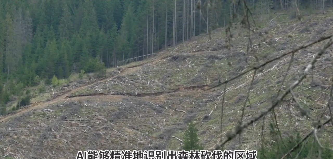 AI在气候变化预测中有哪些具体应用？