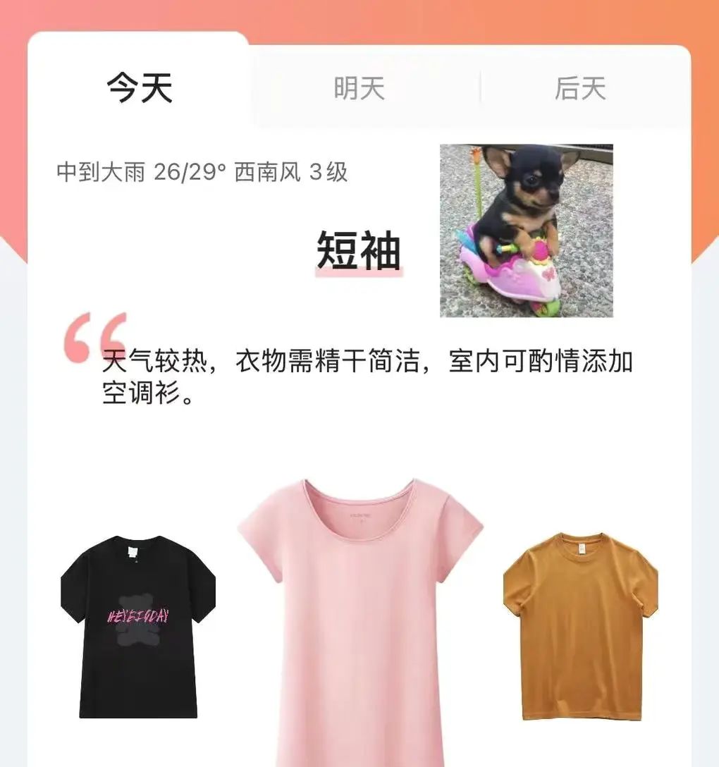 这款软件也太懂我了吧