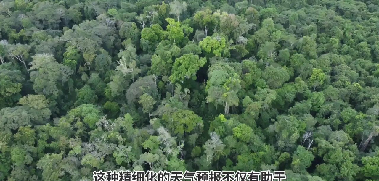 AI在气候变化预测中有哪些具体应用？