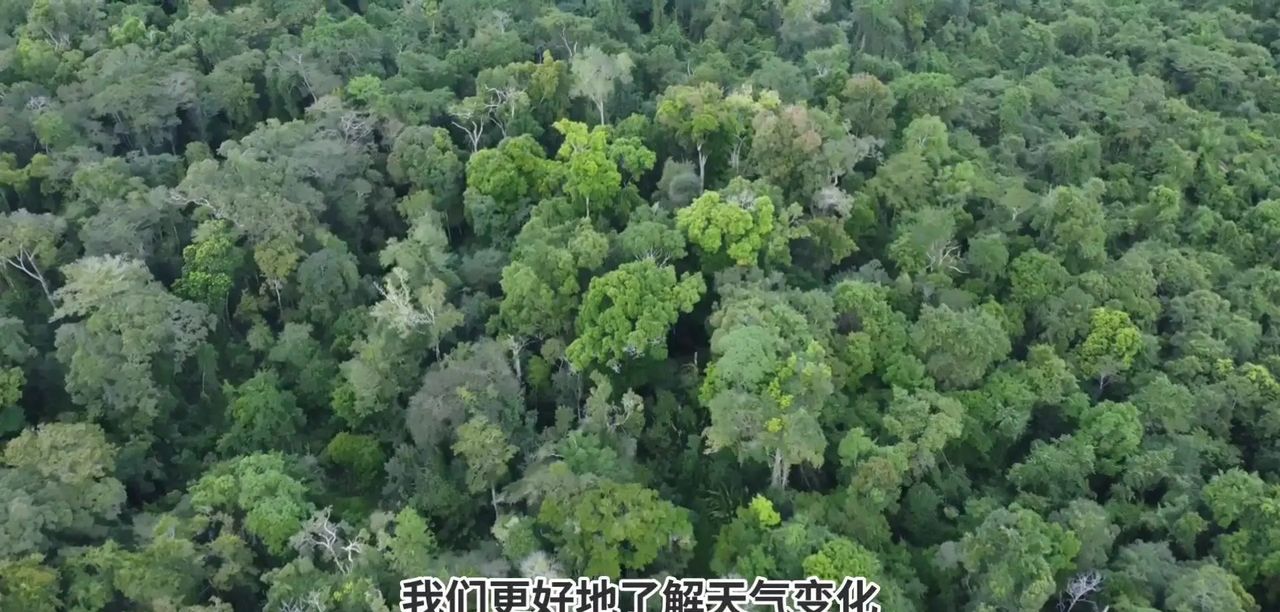 AI在气候变化预测中有哪些具体应用？