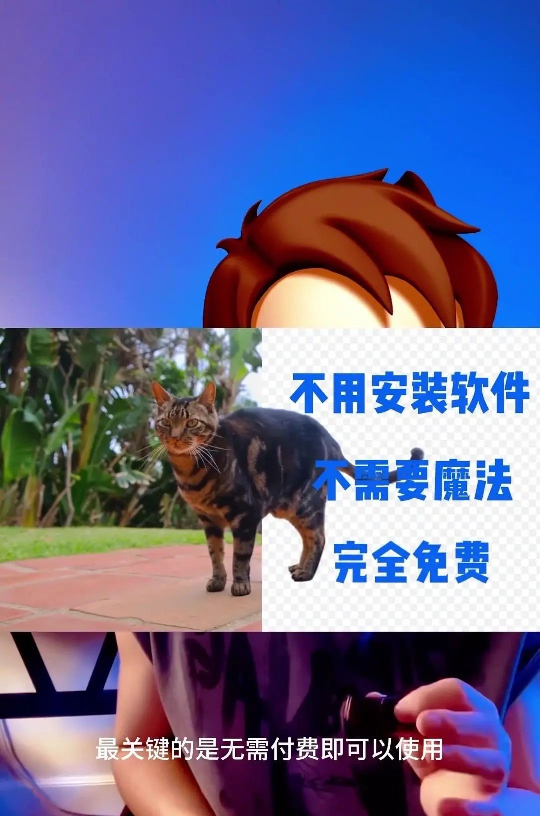 AI智能去除视频背景