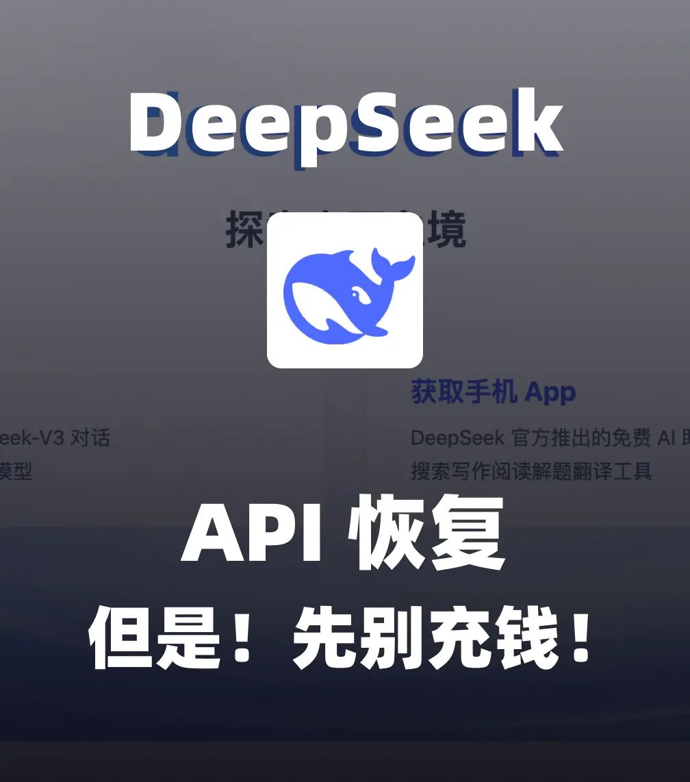 DeepSeek的API平台开放！
