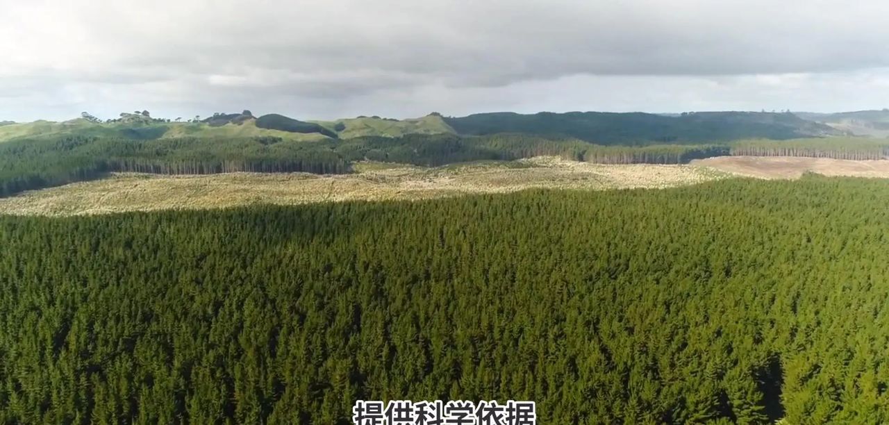 AI在气候变化预测中有哪些具体应用？