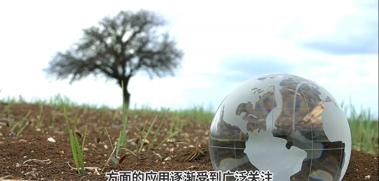 AI在气候变化预测中有哪些具体应用？