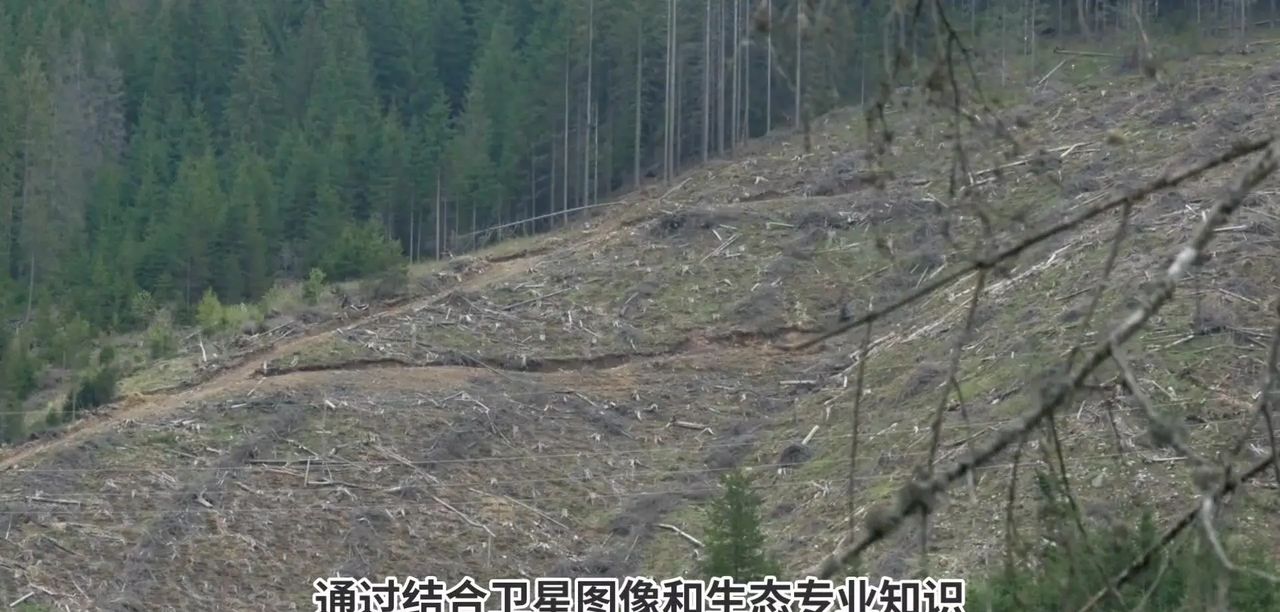 AI在气候变化预测中有哪些具体应用？