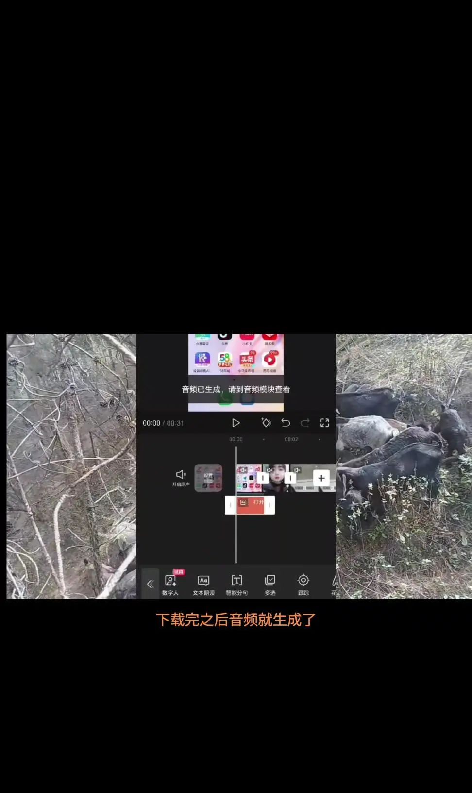 给视频配上音的方法