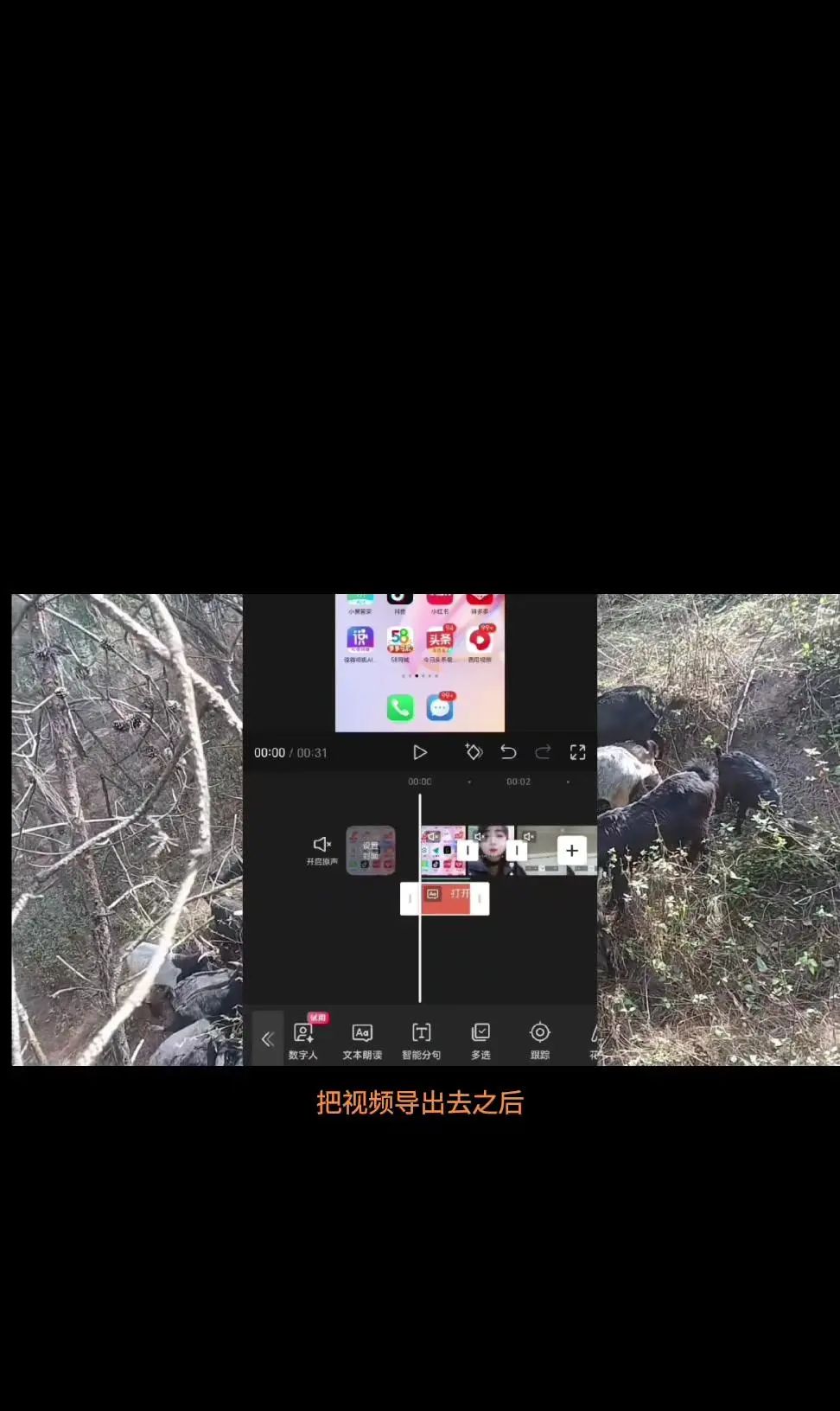 给视频配上音的方法