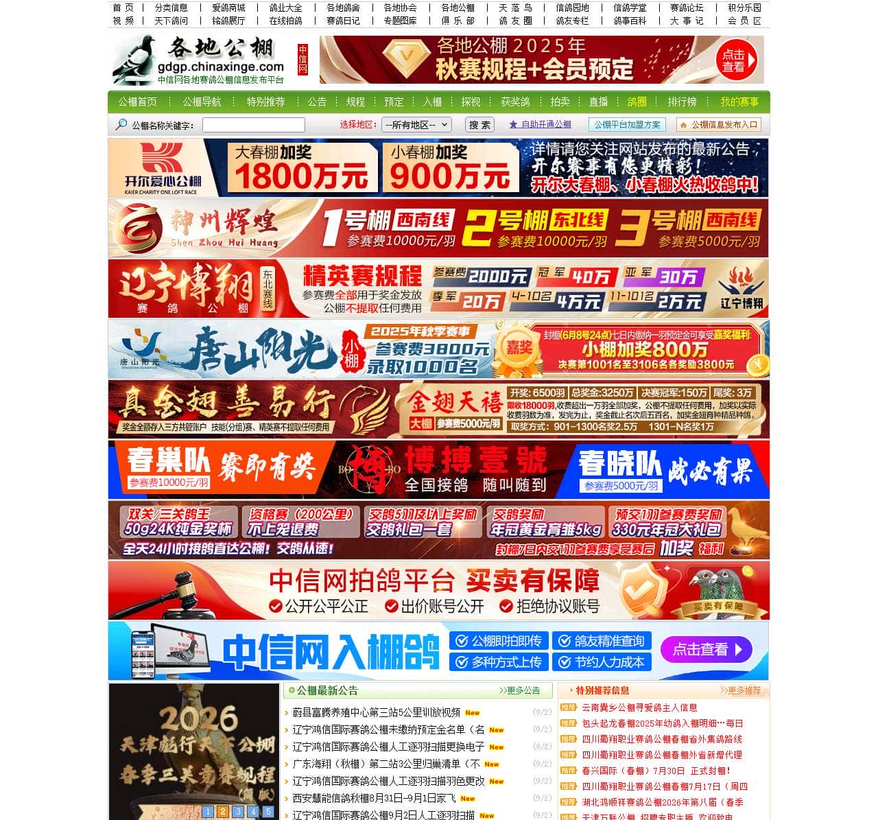 各地赛鸽公棚-gdgp.chinaxinge.com