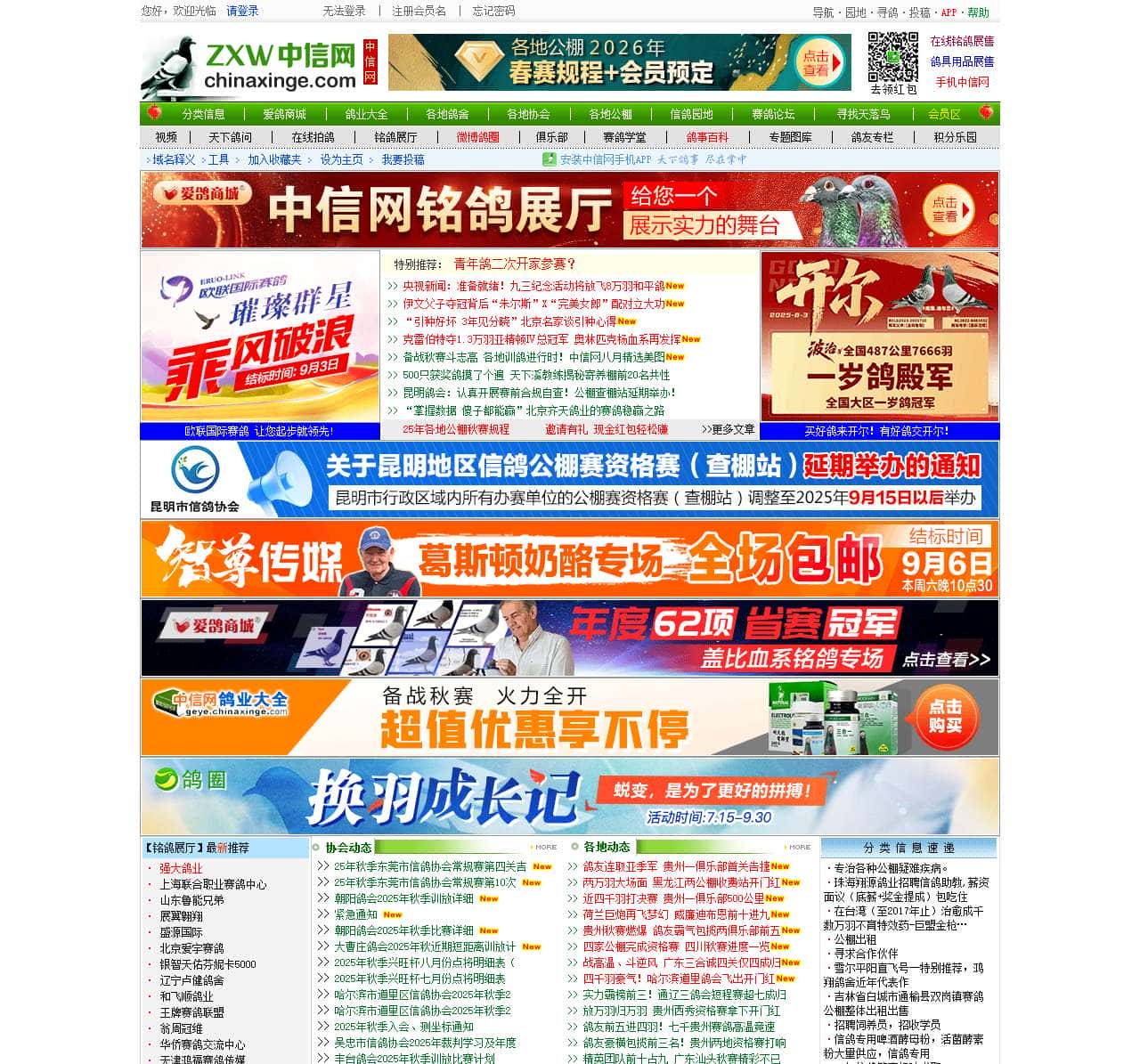 中信网-信鸽信息网