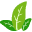 CleanPNG