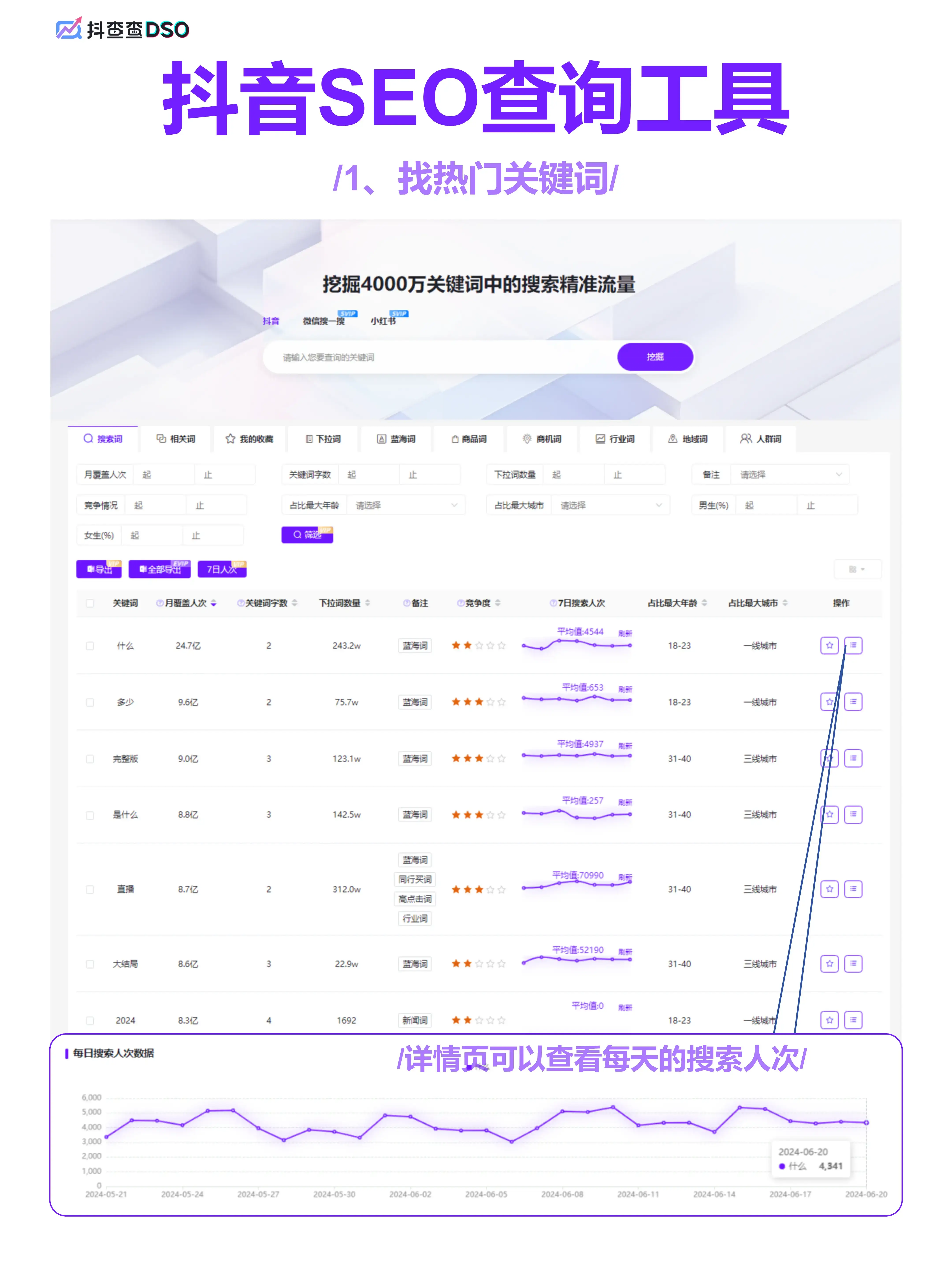 抖音SEO查询工具