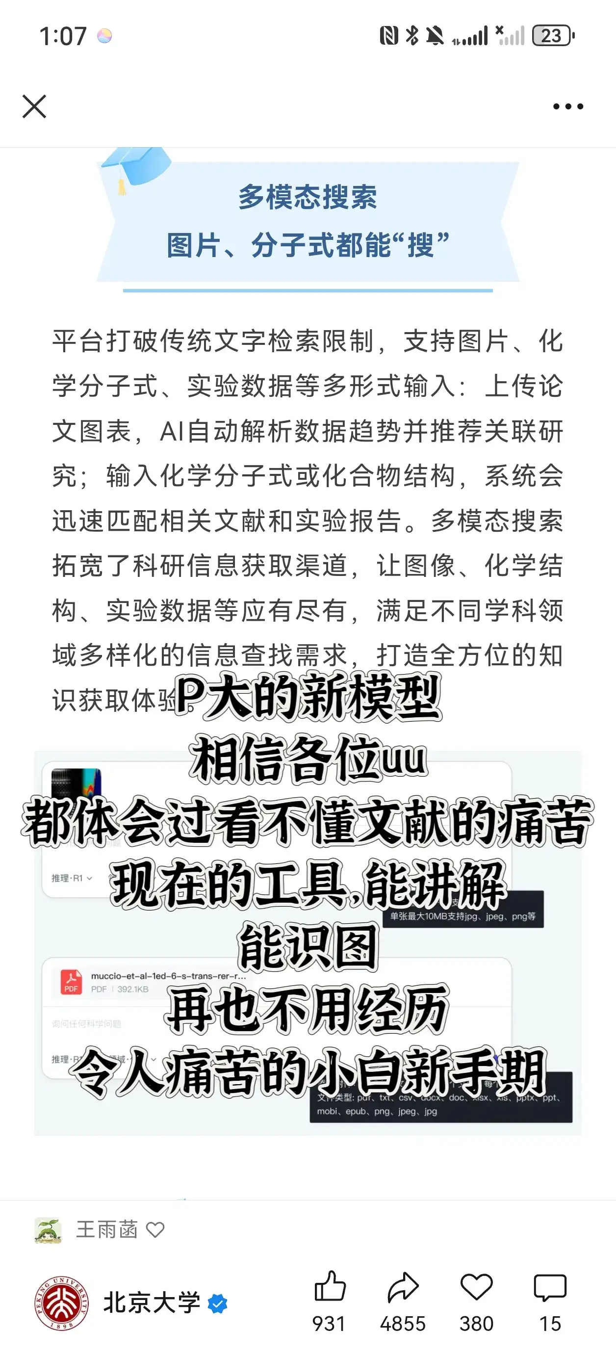 一觉醒来，好消息，北大AI模型上线