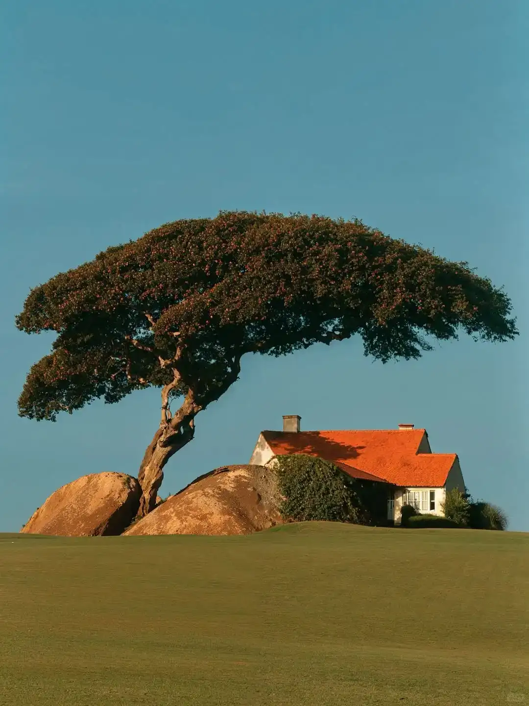 Gizem Akdag ｜AI真的比人类更会捕捉美吗？