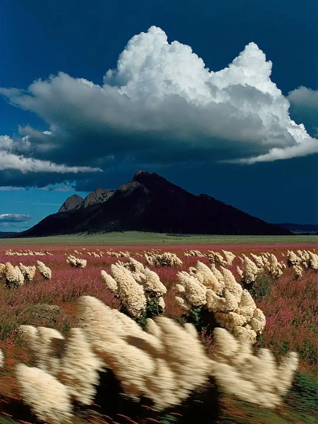 Gizem Akdag ｜AI真的比人类更会捕捉美吗？