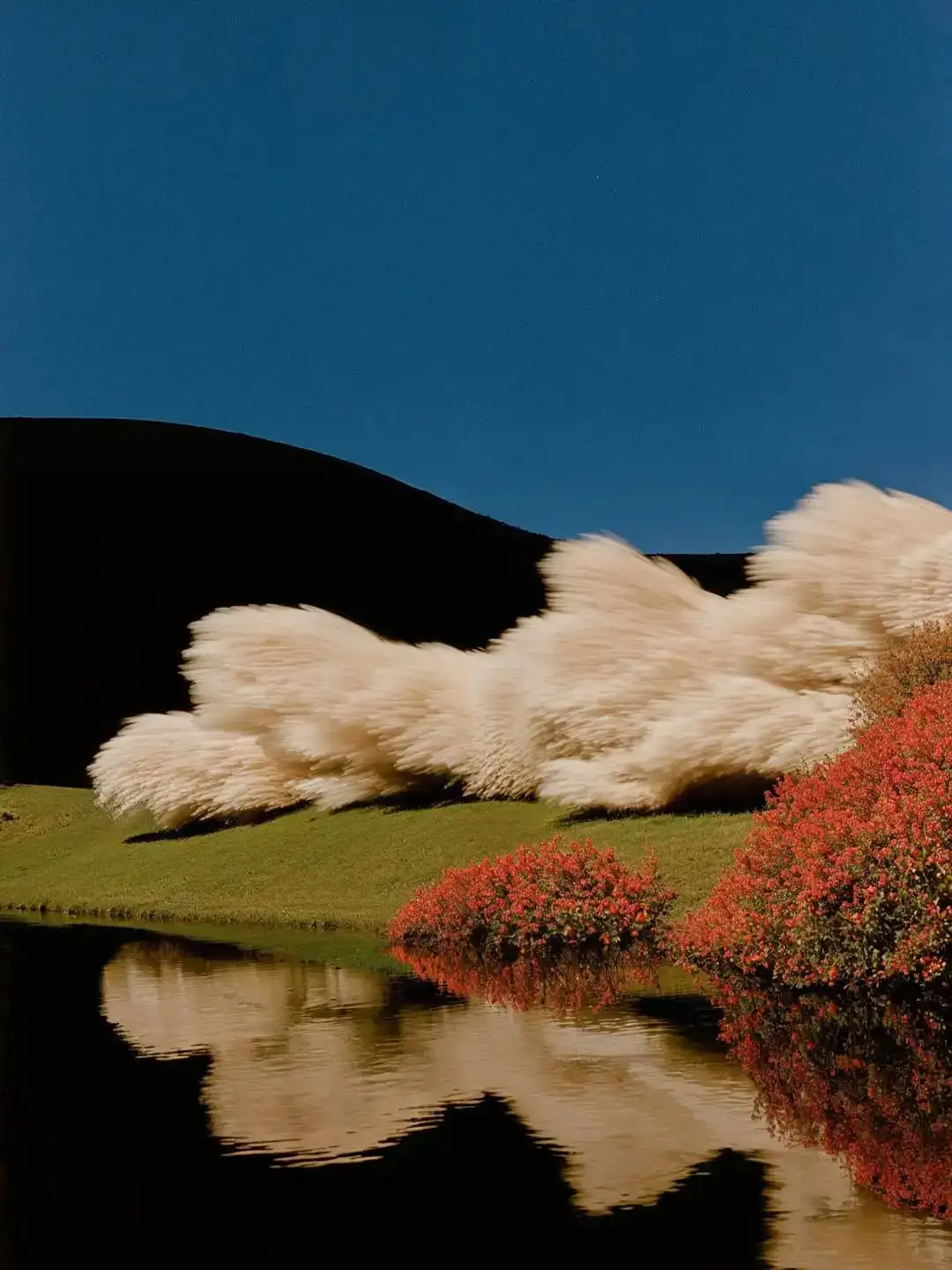 Gizem Akdag ｜AI真的比人类更会捕捉美吗？