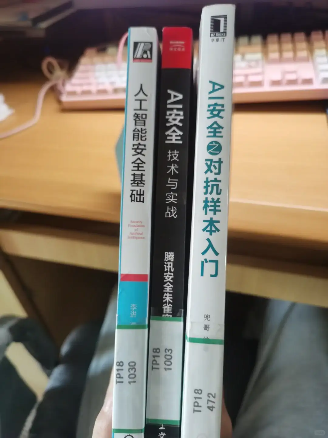 AI安全入门书籍推荐