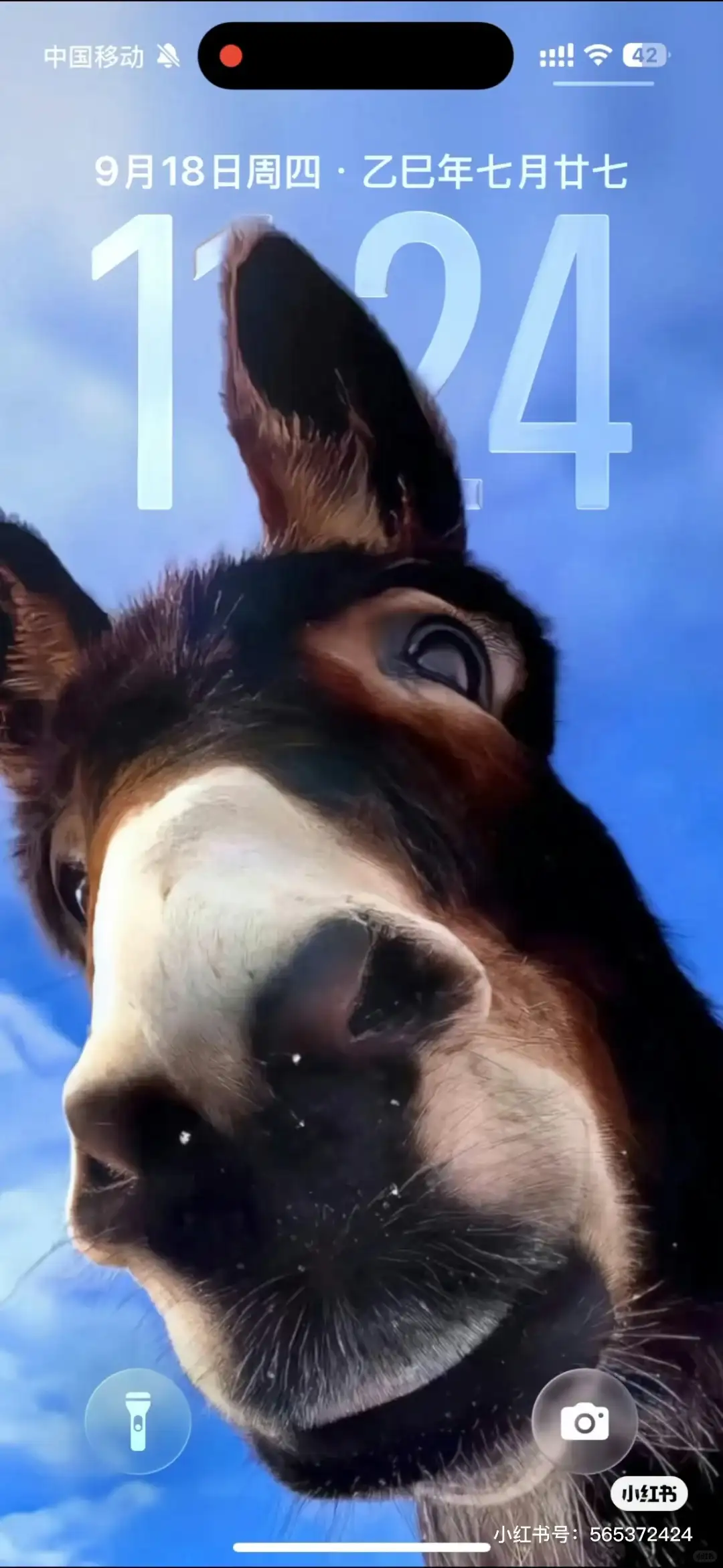 新手机来了？教你如何设置iOS 26裸眼3D壁纸