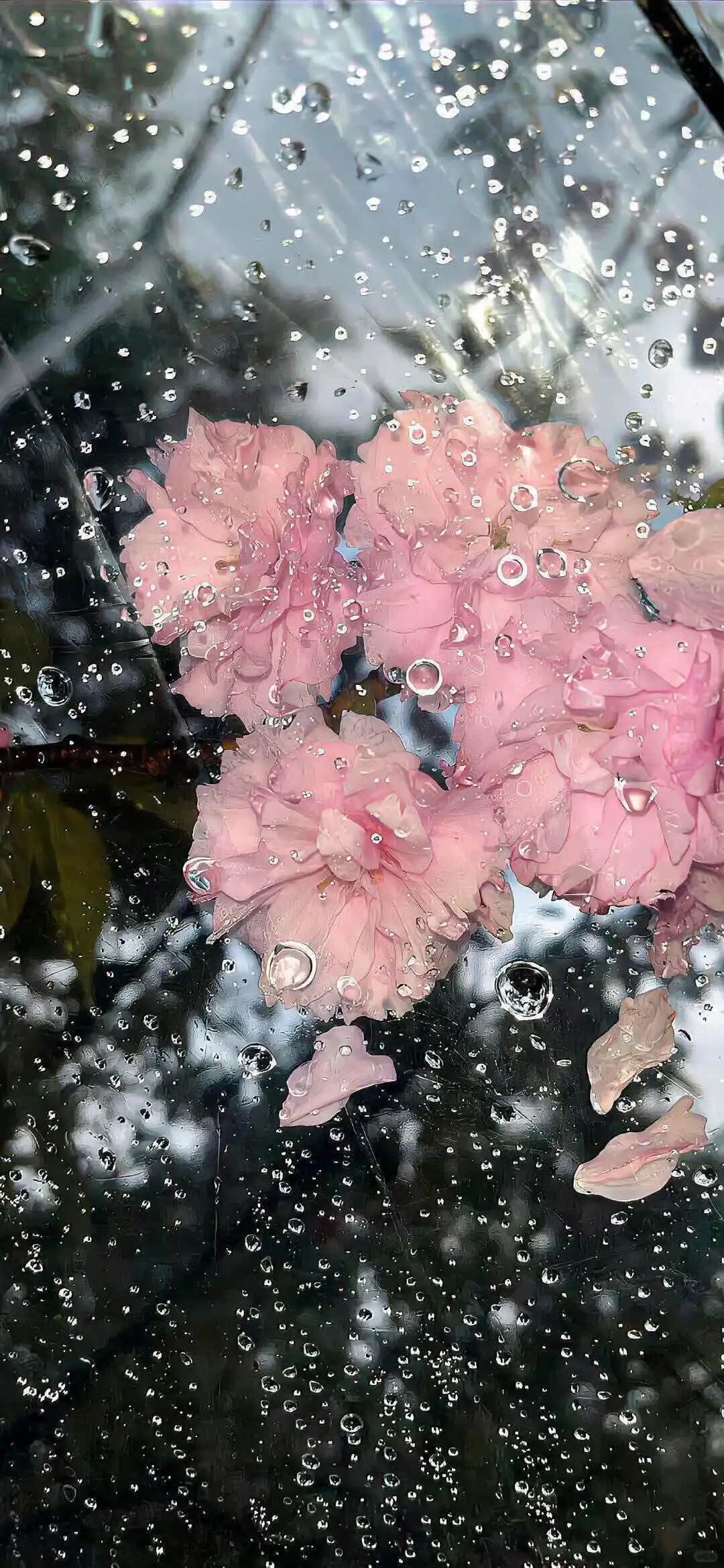 新手机来了？教你如何设置iOS 26裸眼3D壁纸