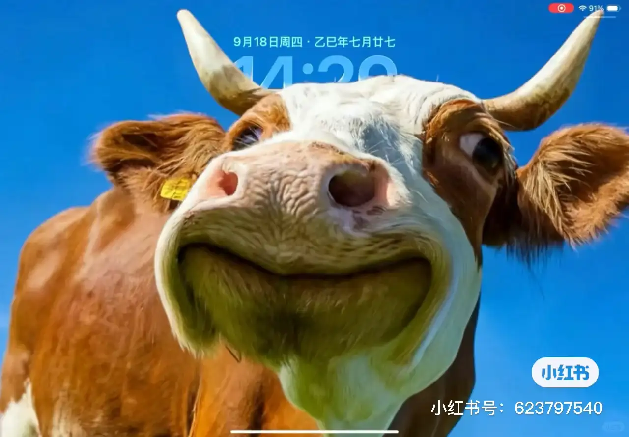 新手机来了？教你如何设置iOS 26裸眼3D壁纸