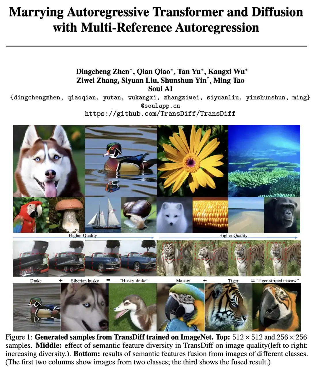 TransDiff最简洁自回归+扩散图像生成方法